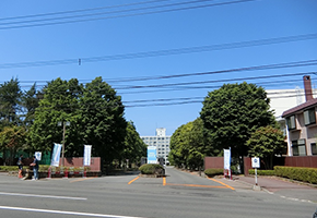 札幌大学